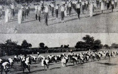 સૌરાષ્ટ્રનો દિલધડક કિસ્સો