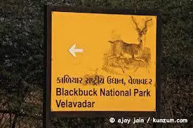 વેળાવદર કાળિયાર રાષ્ટ્રીય ઉદ્યાન