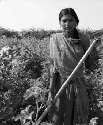 સોરઠ તારા વળતા પાણી