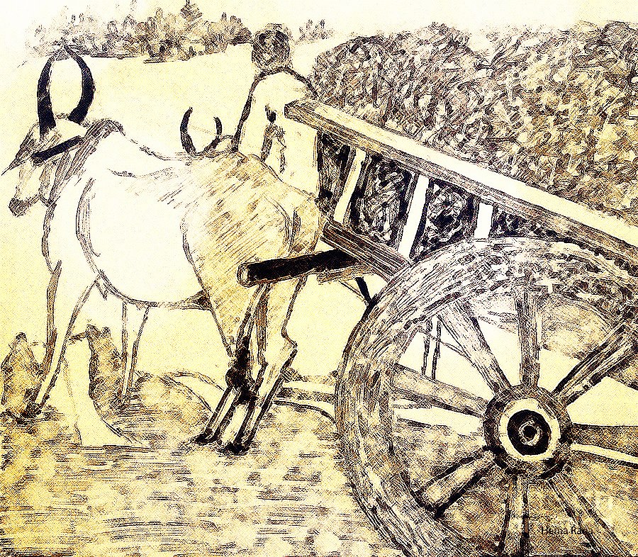 Farmer with Bull Cart