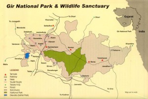 Gir Forest National Park
