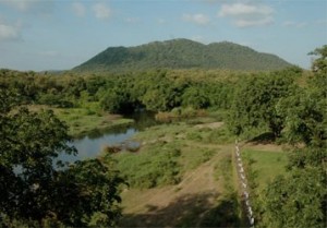 Gir Forest National Park