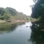 Kankai Mataji Temple Gir