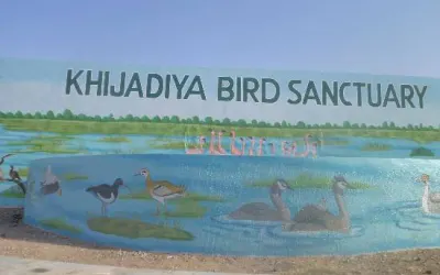 ખીજડીયા અભયારણ્ય -જામનગર