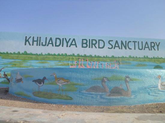 Khijadiya Bird Sanctuary Jamnagar