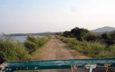 ગીર સાથે ગોઠડી