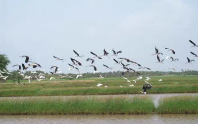 માધવપુર ઘેડ
