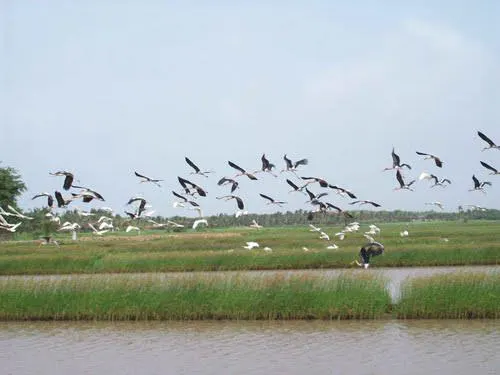 માધવપુર ઘેડ