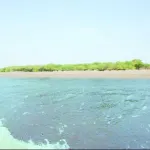 Mahuva Beach Bhavnagar