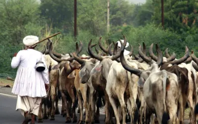 વારતા રે વારતા