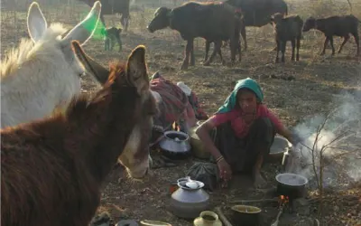 હાલો નેહળે…સા પીવા..