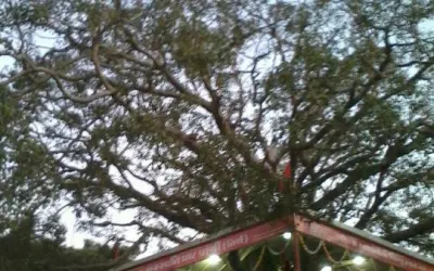 સો વાર કાશી એક વાર પ્રાચી