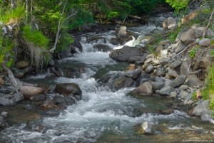 River in Girnar