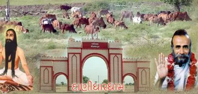 શ્રી નાથજી દાદાની જગ્યા -દાણીધાર