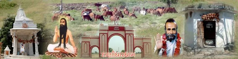 શ્રી નાથજી દાદાની જગ્યા -દાણીધાર