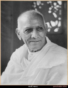 swami-anand