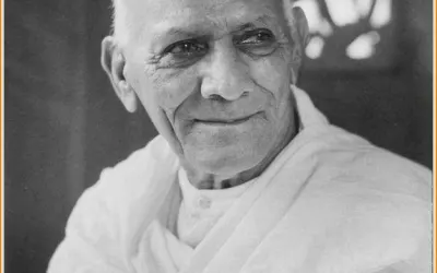સ્વામી આનંદ