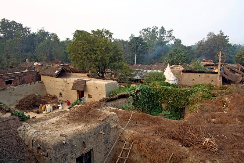 Village of Saurashtra