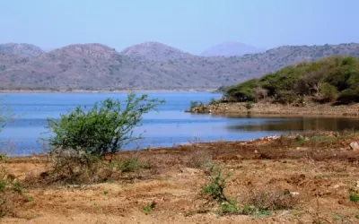 લીલી નાઘેર પંથક