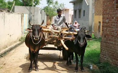 દેશી કહેવત: ઘૈડા ન હોય તો ગાડા પાછા વળે