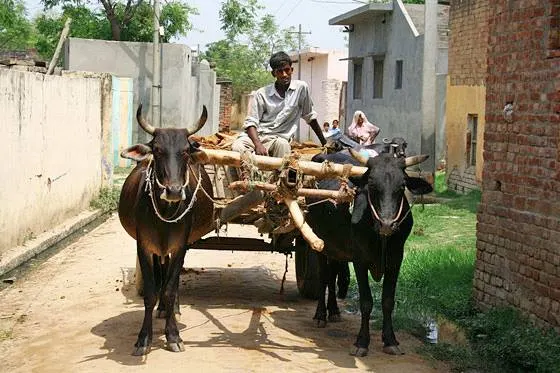 દેશી કહેવત: ઘૈડા ન હોય તો ગાડા પાછા વળે