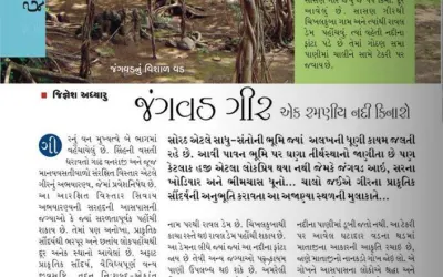 જંગવડ ગીર