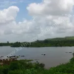 Malanka Gir Dem on Madhuvanti River