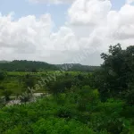 Malanka Gir Dem on Madhuvanti River