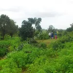 Malanka Gir Dem on Madhuvanti River