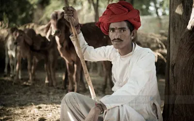 રબારી જાતિનો પહેરવેશ અને અલંકારો