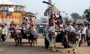 Tarnetar Fair Bull Cart Race