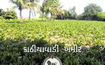 બાર્ટન લાઈબ્રેરી -ભાવનગર
