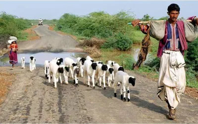 આજ ગીર યાદ આવી