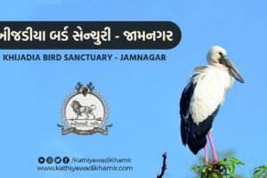 Khijadia Bird Sanctuary Jamnagar