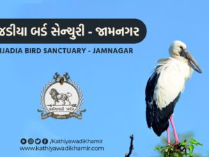 Khijadia Bird Sanctuary Jamnagar