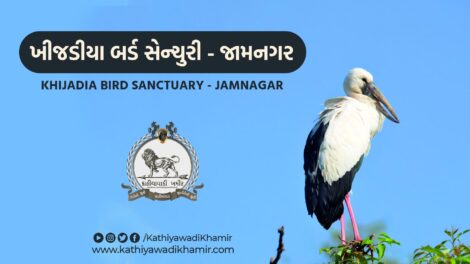 Khijadia Bird Sanctuary Jamnagar
