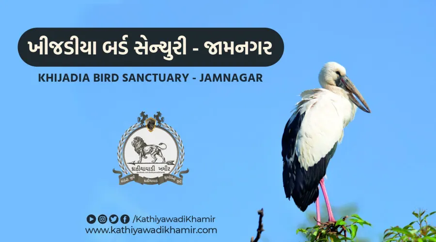 ખીજડીયા બર્ડ સેન્ચ્યુરી – જામનગર