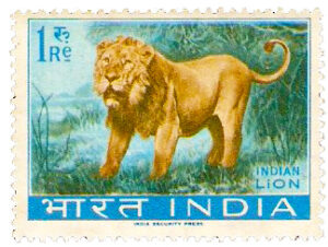 Gir Lion Postal Stamp 1963