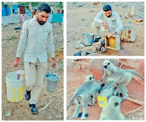 ગિરનાર પર્વતનો ‘પરબપુરુષ’