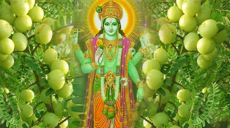 આમલકી એકાદશી