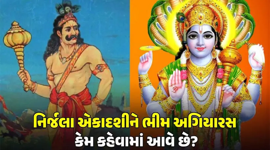 ભીમ અગિયારશ, નિર્જળા એકાદશી
